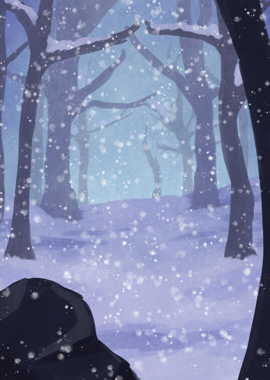 Snow Landscape
